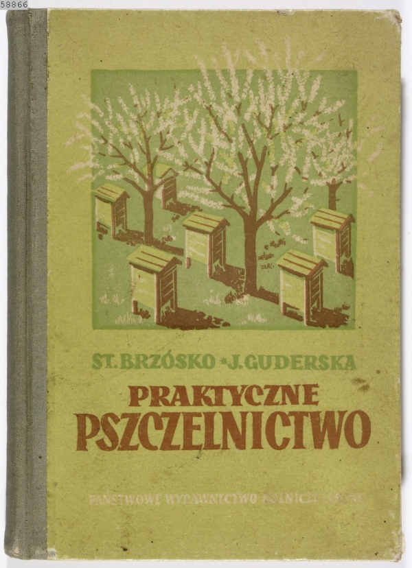 Książka \