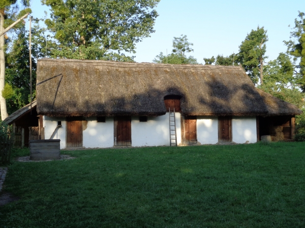 Obora