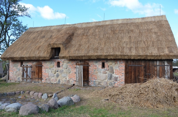 Obora